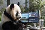 ai videos